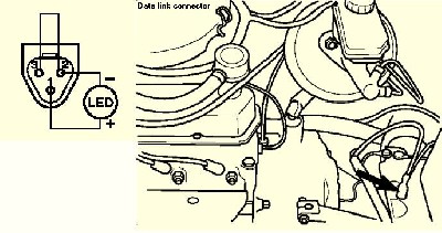 ford obd.JPG